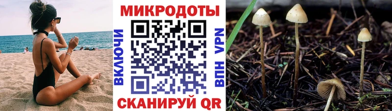 Псилоцибиновые грибы Magic Shrooms  Елизаветинская 